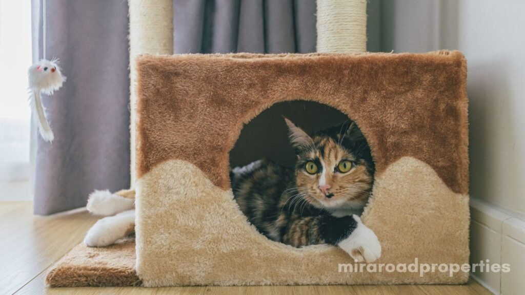 Pet-friendly Flat for rent in Mira Road