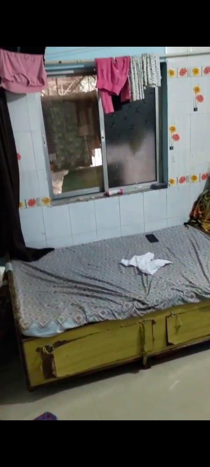 1 BHK Flat in Theem Aashish Naya Nagar, Mira Road