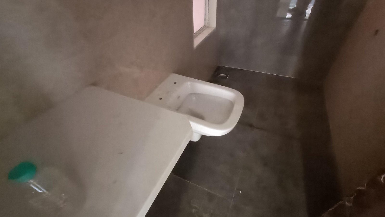 1 BHK Flat in salasar Avatar Ramdev Park,  Mira Bhayandar